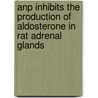 Anp Inhibits The Production Of Aldosterone In Rat Adrenal Glands by Taylor Kohn