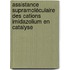 Assistance supramoléculaire des cations imidazolium en catalyse