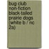 Bug Club Non-fiction Black-tailed Prairie Dogs (white B / Nc 2a)