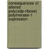 Consequences Of Altered Poly(Adp-Ribose) Polymerase-1 Expression