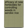 Efficacy of New Herbicides for Controlling Weeds in Aerobic Rice door R. Babu