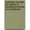 Epistulae morales ad Lucilium 2. Arbeitskommentar und Zweittexte door Seneca