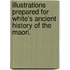 Illustrations prepared for White's Ancient History of the Maori.