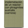 Implemetación de un reactor con Phragmites australis (carrizos) door MaríA. Juana GarcíA. Marín