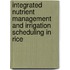 Integrated Nutrient Management and Irrigation Scheduling in Rice