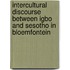 Intercultural Discourse between Igbo and Sesotho in Bloemfontein