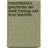 Meichelbeck's Geschichte der Stadt Freising und ihrer Bischöfe. door Carl Meichelbeck