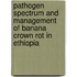 Pathogen Spectrum and Management of Banana Crown Rot in Ethiopia