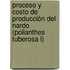 Proceso y Costo de Producción del Nardo (Polianthes tuberosa L)