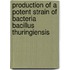 Production of a Potent Strain of Bacteria Bacillus Thuringiensis