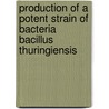 Production of a Potent Strain of Bacteria Bacillus Thuringiensis by Nahed Ibrahim