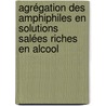 Agrégation des amphiphiles en solutions salées riches en alcool door Nihel Bouguerra