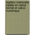 Algèbre matricielle rapide en calcul formel et calcul numérique