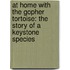 At Home With The Gopher Tortoise: The Story Of A Keystone Species
