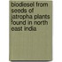 Biodiesel From Seeds Of Jatropha Plants Found In North East India