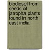 Biodiesel From Seeds Of Jatropha Plants Found In North East India door Pranab Barua