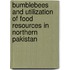Bumblebees and utilization of food resources in northern Pakistan