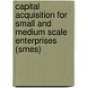 Capital Acquisition For Small And Medium Scale Enterprises (smes) door Remi Kayode