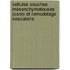 Cellules Souches Mésenchymateuses (csm) Et Remodelage Vasculaire