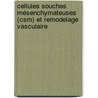 Cellules Souches Mésenchymateuses (csm) Et Remodelage Vasculaire door GaëL. Rochefort