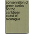 Conservation of Green Turtles on the Caribbean Coast of Nicaragua
