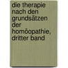 Die Therapie nach den Grundsätzen der Homöopathie, Dritter Band by Gottlieb Heinrich Georg Jahr