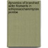 Dynamics of branched actin filaments in Schizosaccharomyces pombe