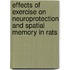 Effects Of Exercise On Neuroprotection And Spatial Memory In Rats