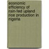 Economic Efficiency Of Rain-Fed Upland Rice Production In Nigeria