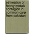 Estimation of Heavy Metals Contagion in Common Carp from Pakistan