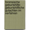 Forensische Geburtshilfe: Geburtshilfliche Gutachten Im Verfahren by Georg J. Gerstner