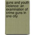 Guns and Youth Violence: An Examination of Crime Guns in One City