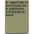Le Regard Des Tv Beninoises Sur Le Patrimoine Immateriel Du Benin