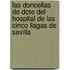 Las Doncellas de Dote del Hospital de las Cinco Llagas de Sevilla