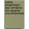 Ludwig Wittgenstein: Das Verhältnis von Sprache und Wirklichkeit door Mathias Haller