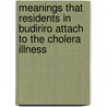 Meanings that residents in Budiriro attach to the cholera illness door Innocent Mahiya