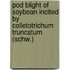Pod Blight Of Soybean Incited By Colletotrichum Truncatum (Schw.)