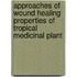 Approaches of Wound Healing Properties of Tropical Medicinal Plant