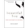 Beautiful Boy: A Father's Journey Through His Son's Meth Addiction by David Sheff