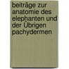 Beiträge Zur Anatomie Des Elephanten Und Der Übrigen Pachydermen by August F. Mayer