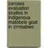 Carcass evaluation studies in indigenous Matebele goat in Zimbabwe