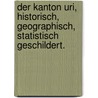Der Kanton Uri, historisch, geographisch, statistisch geschildert. door Karl Franz Lusser