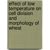 Effect Of Low Temperature On Cell Division And Morphology Of Wheat door Ghasem Karimzadeh