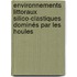 Environnements littoraux silico-clastiques dominés par les houles