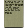Fleeing Herod: A Journey Through Coptic Egypt with the Holy Family door James Cowan