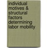 Individual motives & structural factors determining labor mobility door Stéphanie Blokker