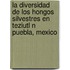 La Diversidad de Los Hongos Silvestres En Teziutl N Puebla, Mexico