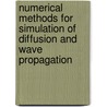 Numerical Methods For Simulation Of Diffusion And Wave Propagation door Manmohan Singh