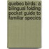 Quebec Birds: A Bilingual Folding Pocket Guide to Familiar Species