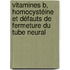 Vitamines B, homocystéine et défauts de fermeture du tube neural